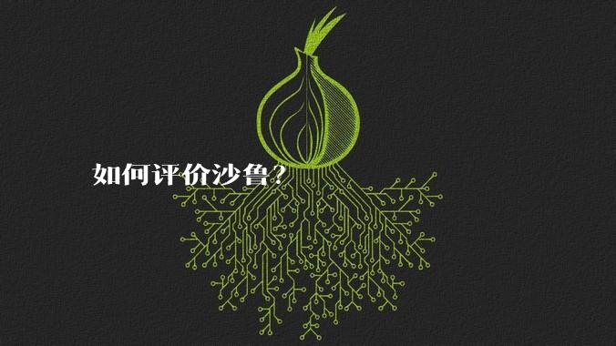 如何评价沙鲁？